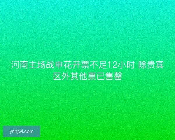 河南主场战申花开票不足12小时 除贵宾区外其他票已售罄