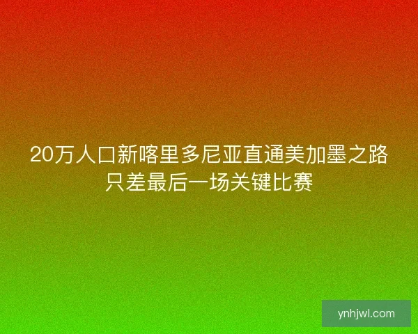 20万人口新喀里多尼亚直通美加墨之路只差最后一场关键比赛