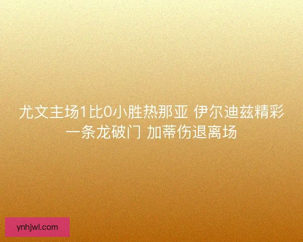 尤文主场1比0小胜热那亚 伊尔迪兹精彩一条龙破门 加蒂伤退离场