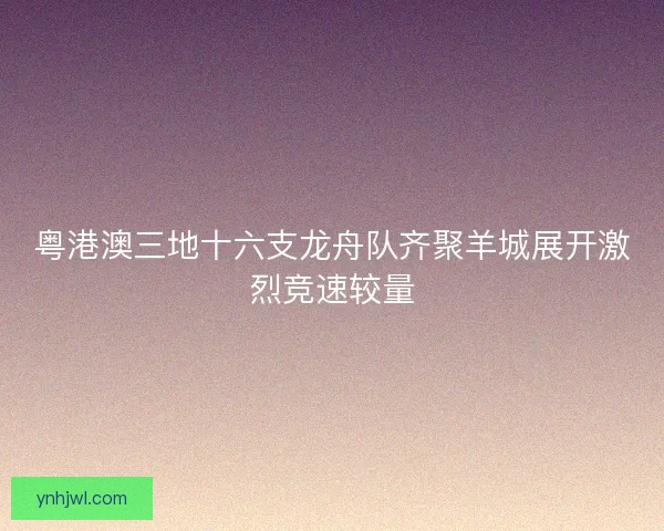 粤港澳三地十六支龙舟队齐聚羊城展开激烈竞速较量